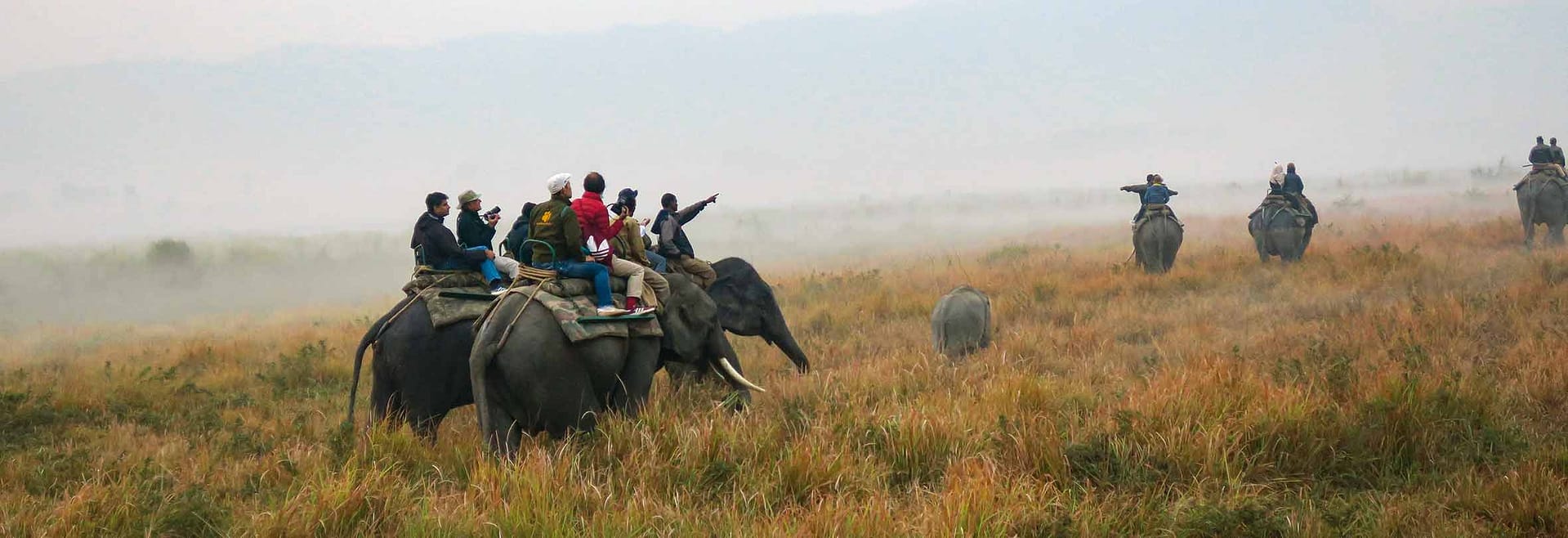 Elefanten-Safari im Kaziranga-Nationalpark