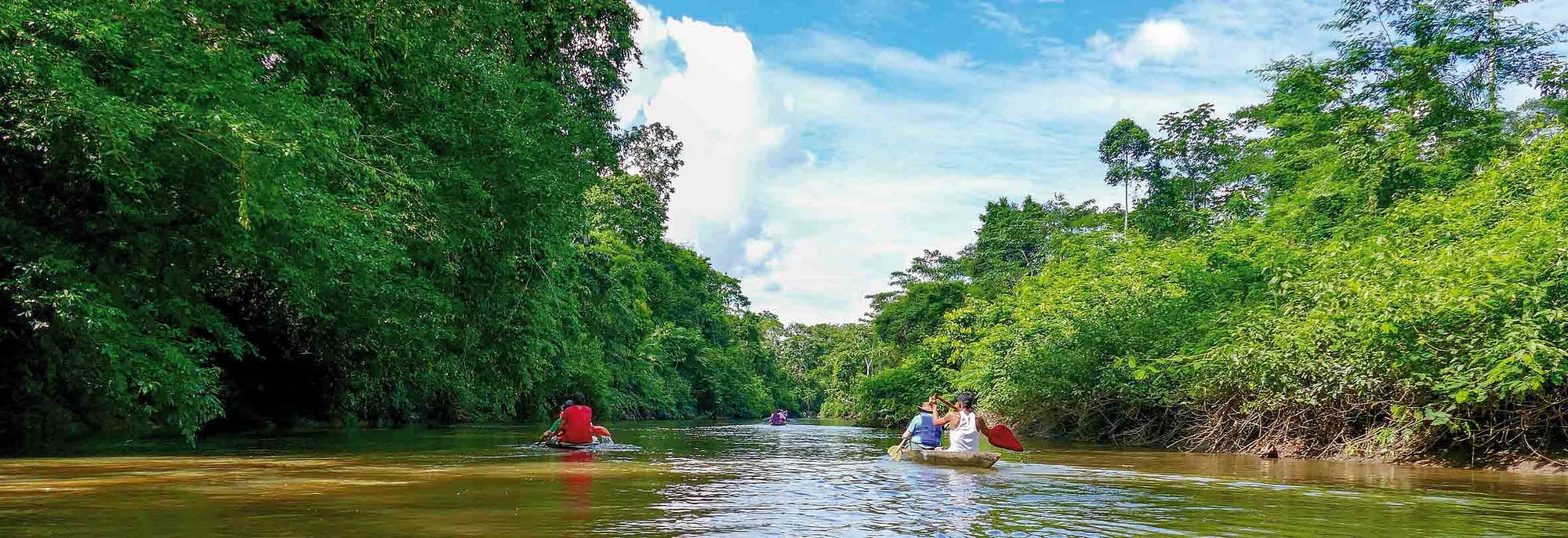 Urwald-Exkursion mit dem Kanu, Ecuador